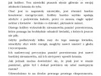 Publikacja  Panorama Page 005